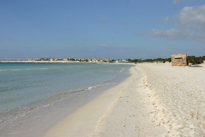 Der Sandstrand Sa Rapita-Es Trenc ist nur 3 Km entfernt